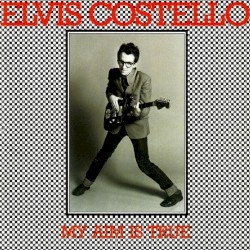 Elvis Costello: Watching the Detectives